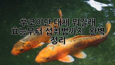 후코이단, 대체 뭐길래? 효능부터 섭취법까지 💯 완벽 정리!